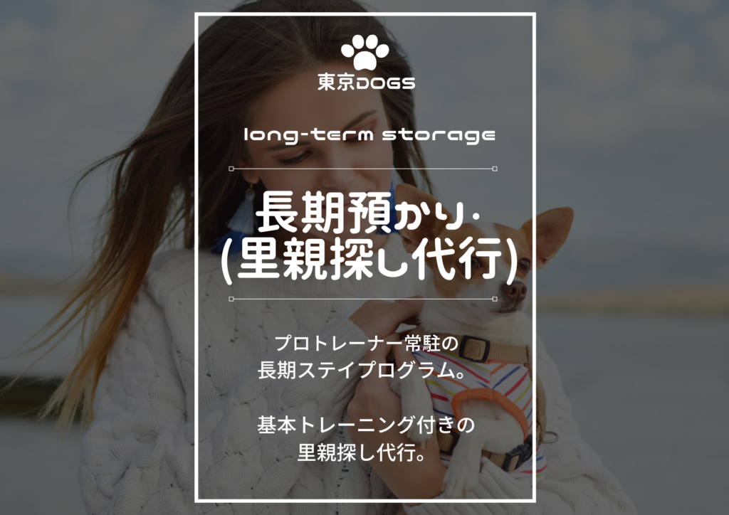 tokyodogs-long-term-storage-menu-1024x724